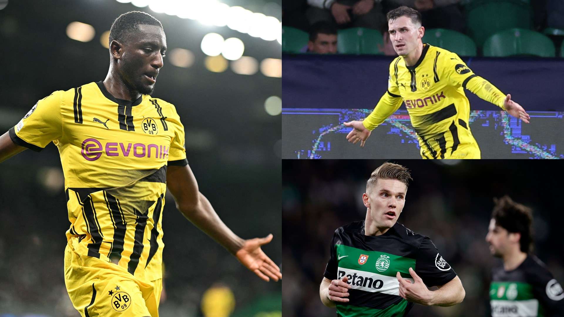 结合两人的 结合两人的